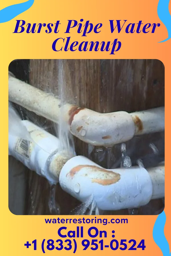 Burst Pipe Water Cleanup in Bowling Green, FL