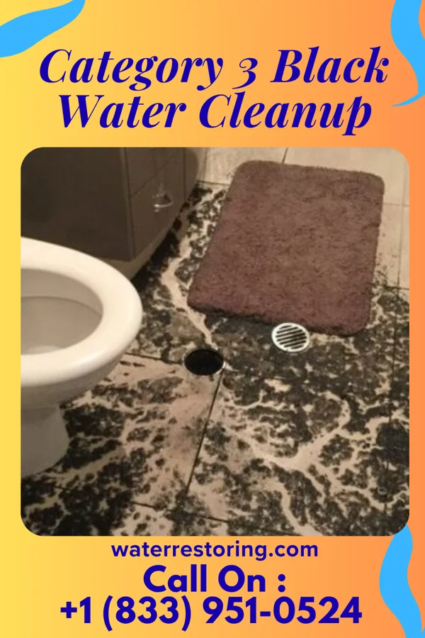 Category 3 Black Water Cleanup in Bowling Green, FL